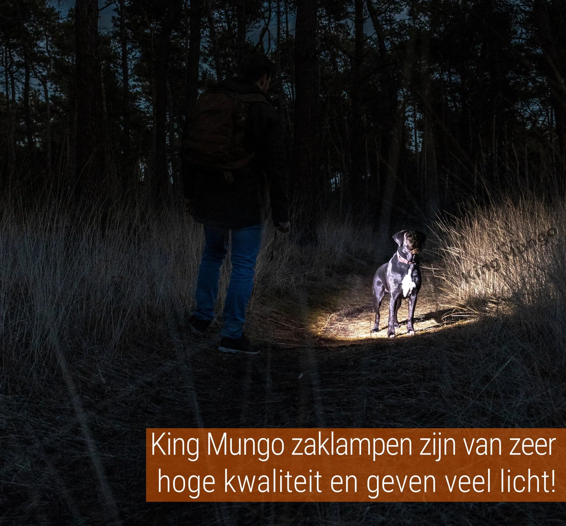 King Mungo KM-L12: Dé Tactische LED Zaklamp Oplaadbaar King Mungo