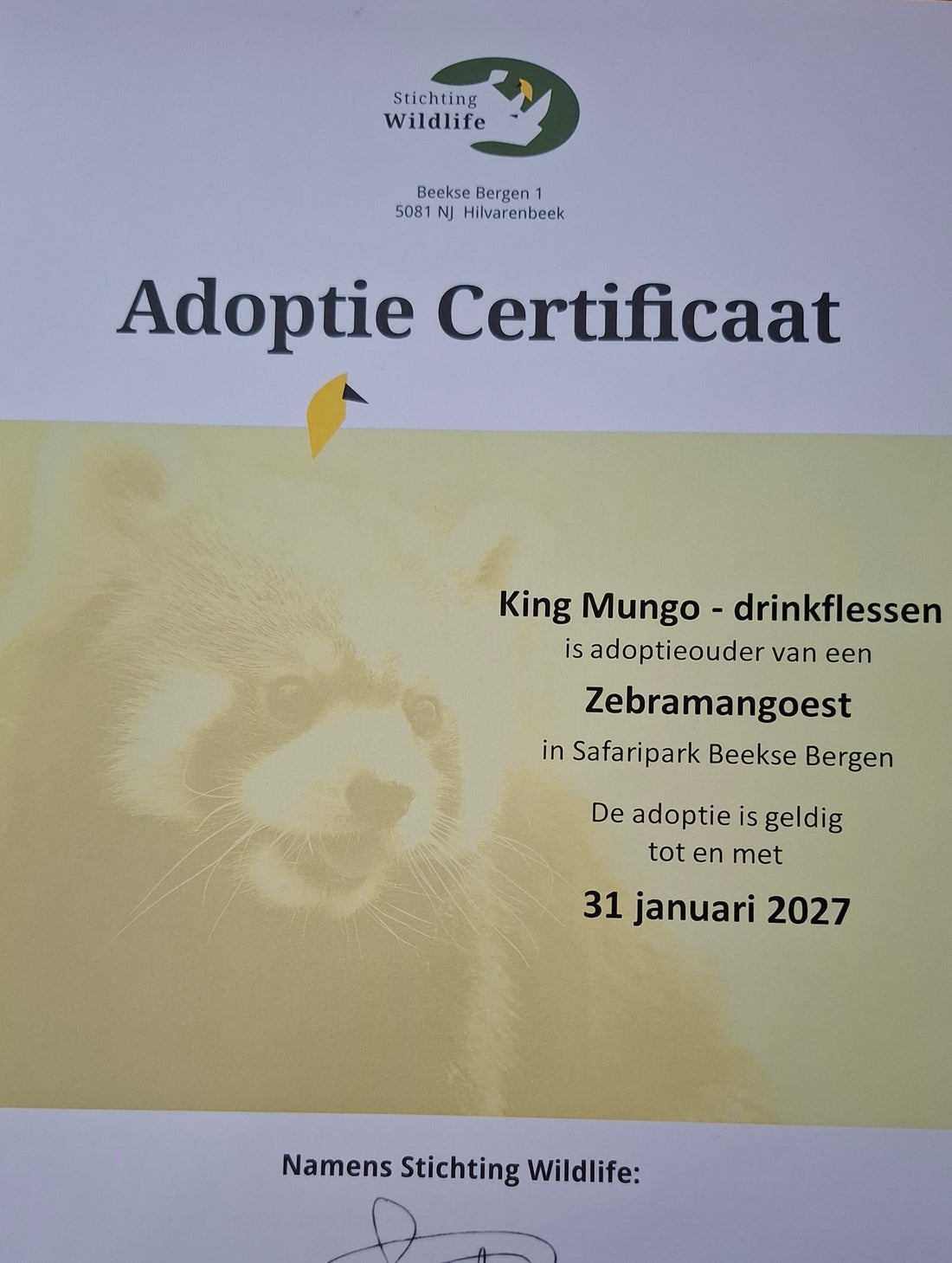 Adoptie Beekse Bergen King Mungo zebramangoest