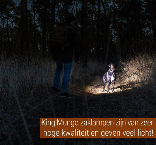 Hoe werkt de Zoom-functie op een zaklamp? (En waarom is het licht vierkant?) - King Mungo