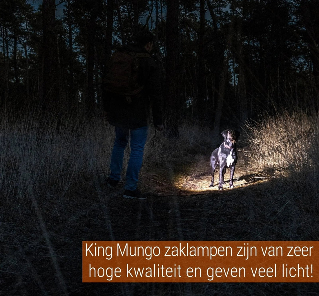 Hoe werkt de Zoom-functie op een zaklamp? (En waarom is het licht vierkant?) - King Mungo