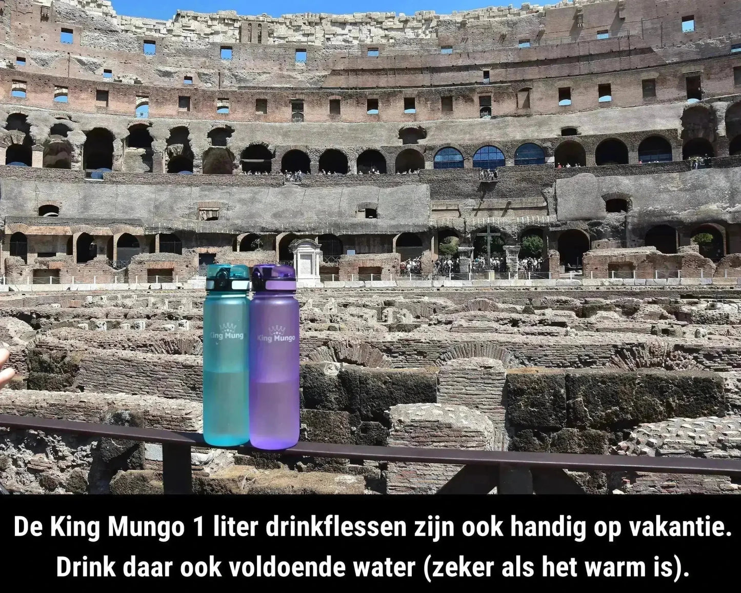 Drinkfles 1 Liter PaarsRood - King Mungo